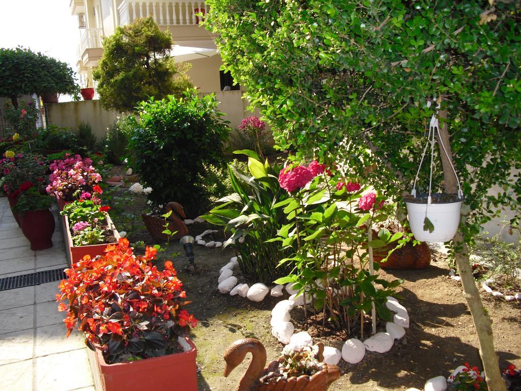 Hotel Dioni Paralía Buitenkant foto